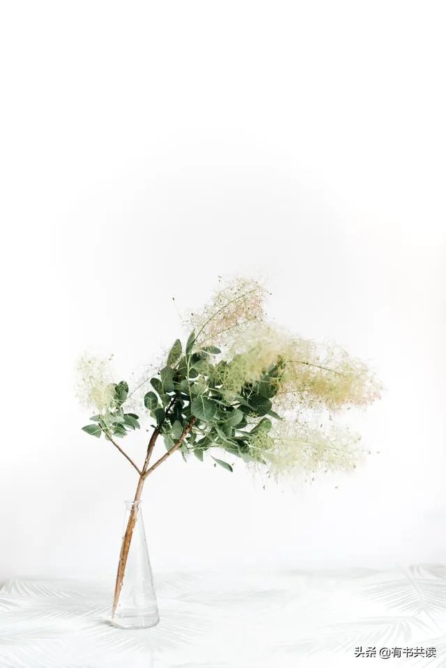先登记结婚好还是先办婚礼好?