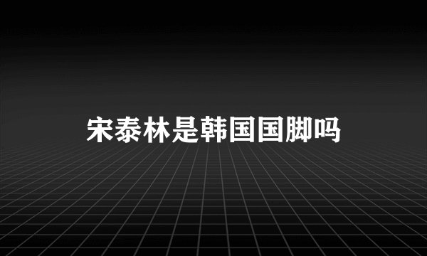 宋泰林是韩国国脚吗