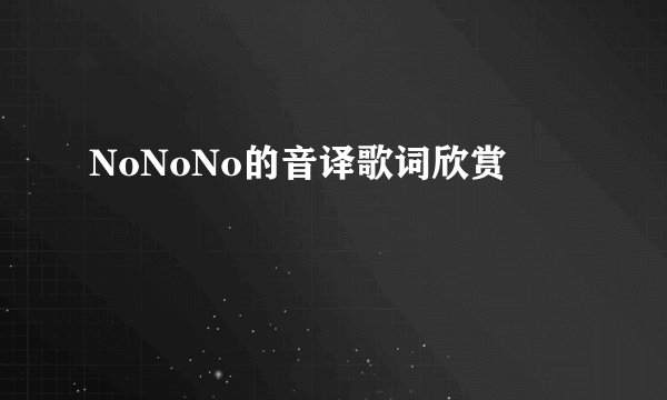 NoNoNo的音译歌词欣赏