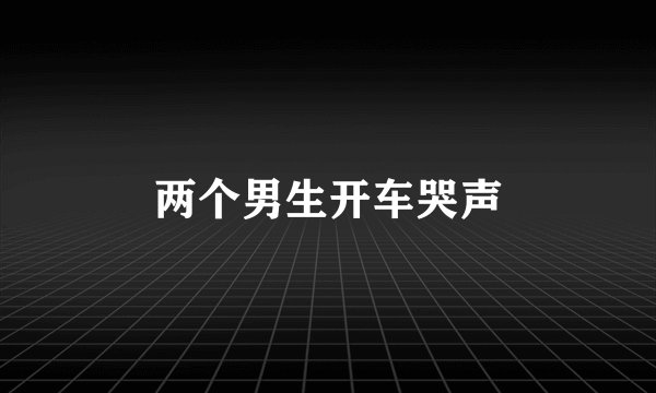 两个男生开车哭声
