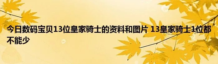 今日数码宝贝13位皇家骑士的资料和图片 13皇家骑士1位都不能少