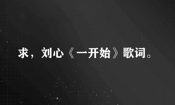 求,刘心《一开始》歌词。