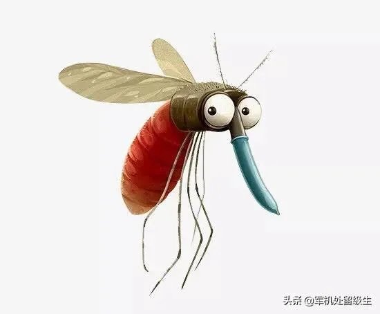 蚊子更喜欢叮咬哪类人?