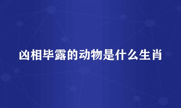 凶相毕露的动物是什么生肖