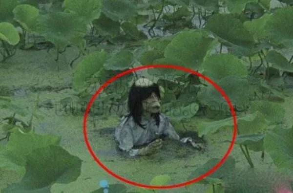 怪兽之谜为什么不播了?太过诡异(真实的令人害怕)