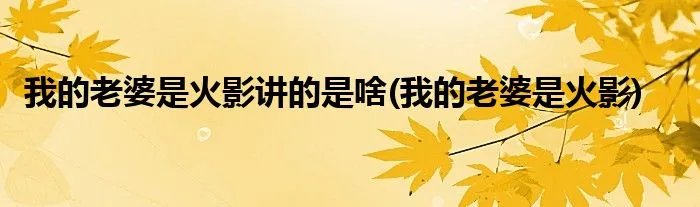我的老婆是火影讲的是啥(我的老婆是火影)