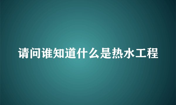 请问谁知道什么是热水工程