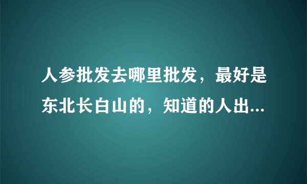 人参批发去哪里批发,最好是东北长白山的,知道的人出来说说。