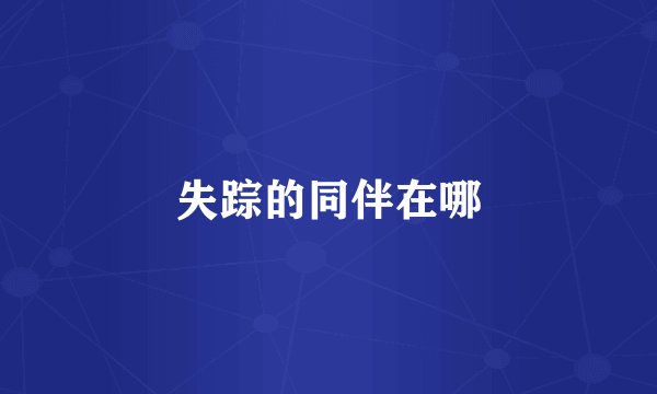 失踪的同伴在哪
