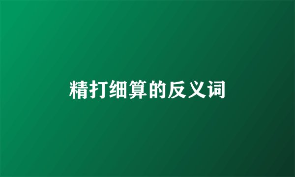 精打细算的反义词