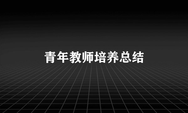 青年教师培养总结