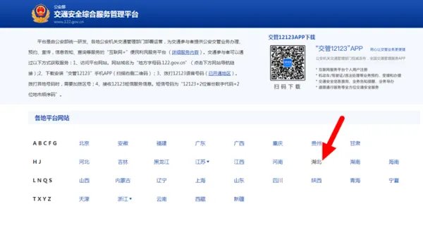 公安网违章查询驾驶证