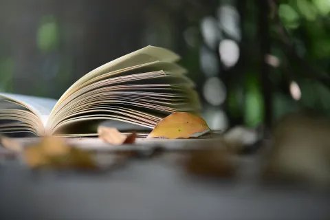发明专利申请书范本