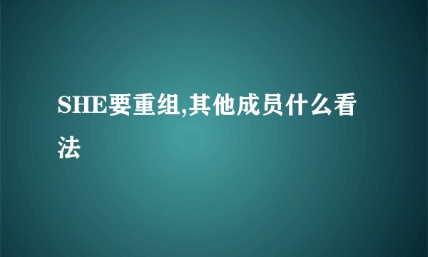 SHE要重组,其他成员什么看法