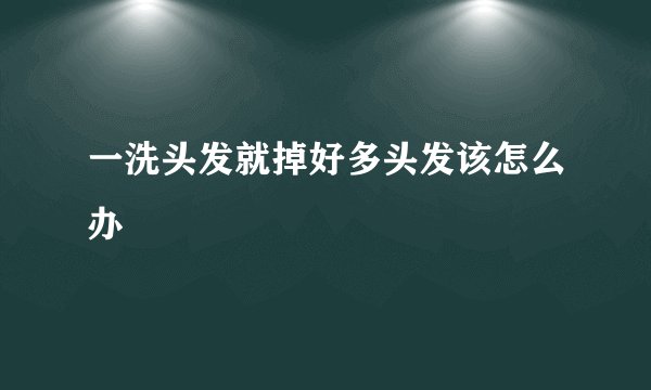 一洗头发就掉好多头发该怎么办