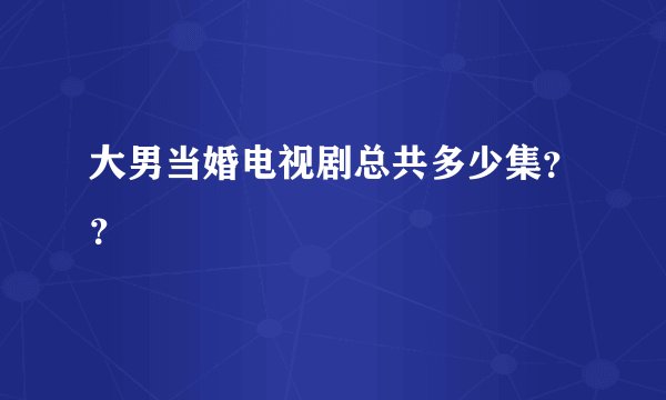 大男当婚电视剧总共多少集？？