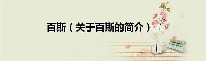 百斯（关于百斯的简介）