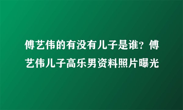 傅艺伟的有没有儿子是谁？傅艺伟儿子高乐男资料照片曝光