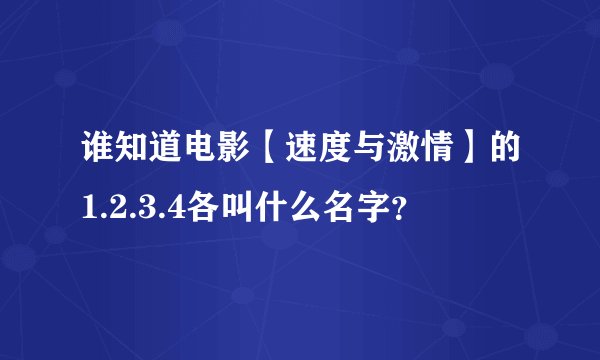 谁知道电影【速度与激情】的1.2.3.4各叫什么名字？