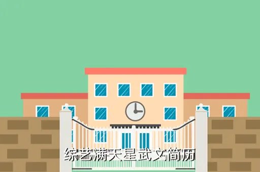 武文简历，综艺满天星武文简历