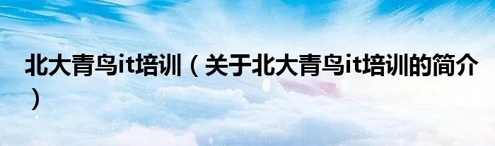 北大青鸟it培训(关于北大青鸟it培训的简介)