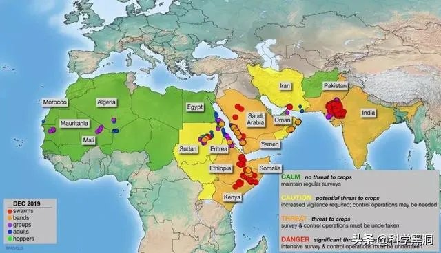 非洲蝗虫成灾,已影响印度和巴基斯坦,会传入中国吗?