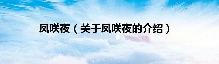 凤咲夜（关于凤咲夜的介绍）