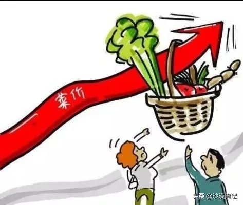 菜价上涨严重,到底是什么原因?