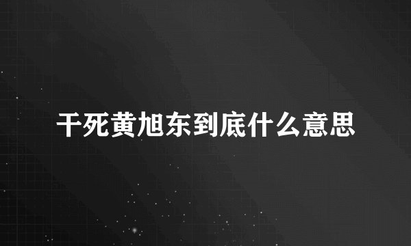 干死黄旭东到底什么意思