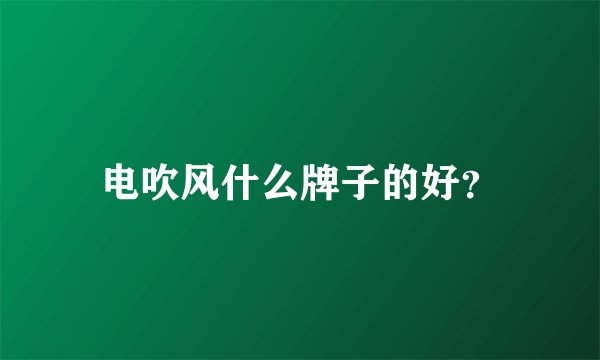 电吹风什么牌子的好？