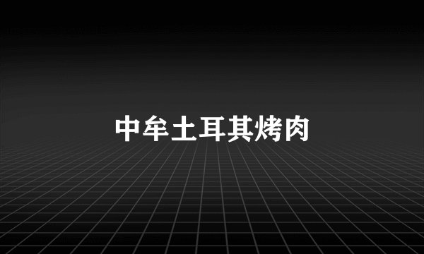 中牟土耳其烤肉