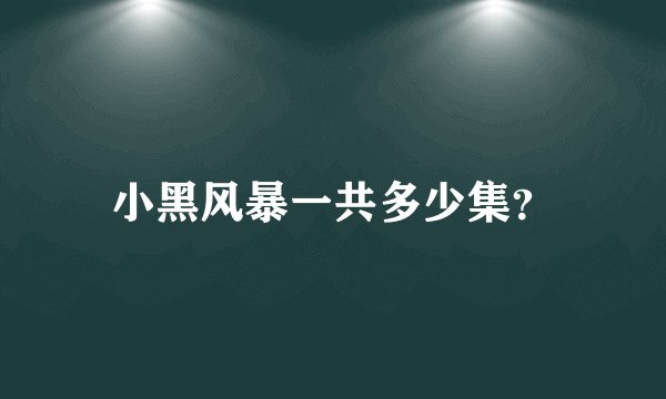 小黑风暴一共多少集？