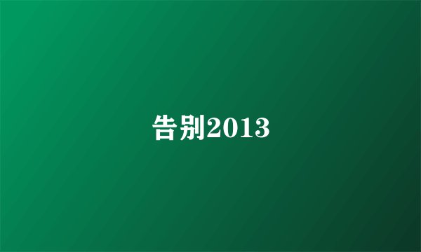 告别2013