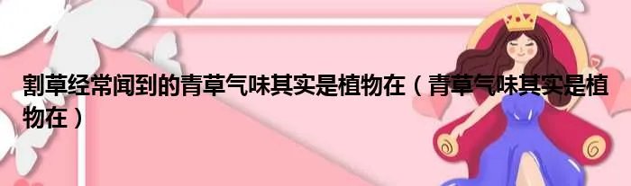割草经常闻到的青草气味其实是植物在（青草气味其实是植物在）