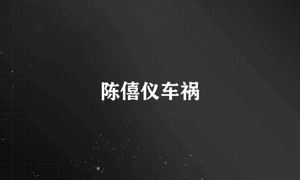 陈僖仪车祸