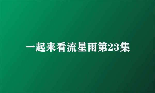 一起来看流星雨第23集