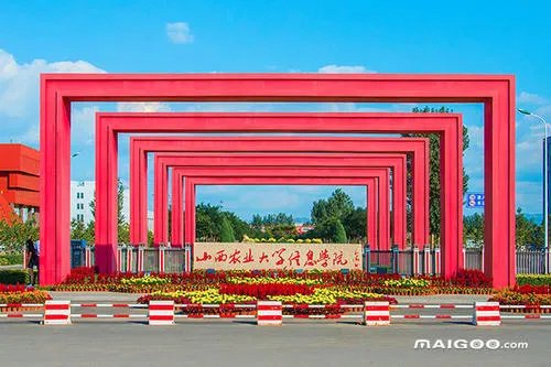 山西农业大学信息学院教务系统