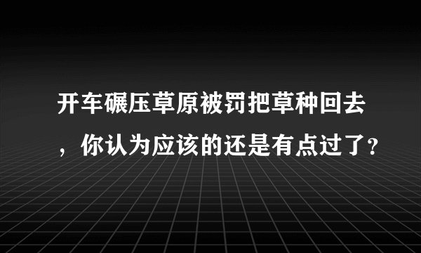 开车碾压草原被罚把草种回去，你认为应该的还是有点过了？