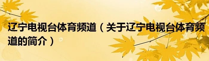 辽宁电视台体育频道（关于辽宁电视台体育频道的简介）
