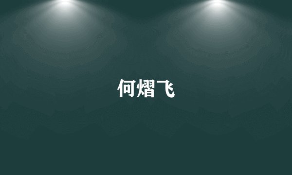 何熠飞