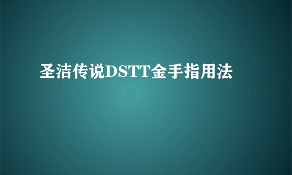 圣洁传说DSTT金手指用法
