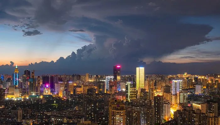 尾盘是什么意思 尾盘是指什么意思