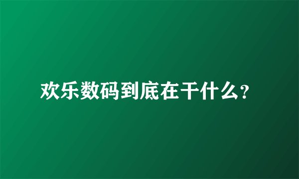 欢乐数码到底在干什么？