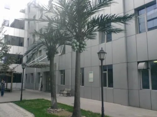 联想A68e 拍照样张