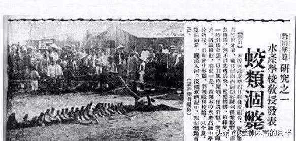 威宁秀水镇有山体怪声,当地传说有龙,专家都去了,大家怎么看?