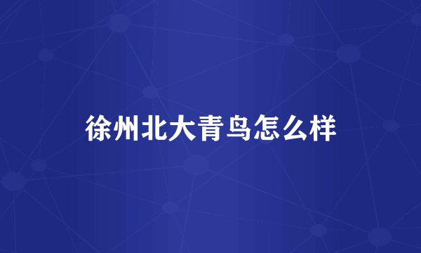 徐州北大青鸟怎么样