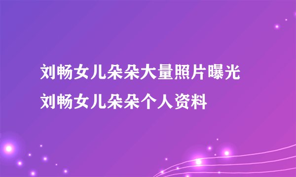 刘畅女儿朵朵大量照片曝光 刘畅女儿朵朵个人资料