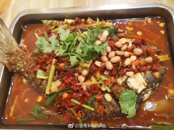 湖南科技学院好不好呢?