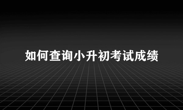 如何查询小升初考试成绩