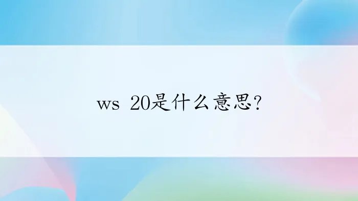 ws 20是什么意思？